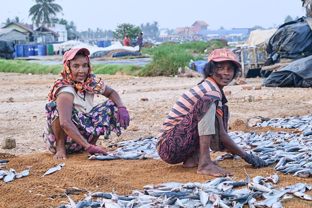 Negombo, Gateway to Sri Lanka where your island tour begins and ends